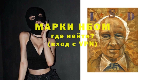 ГАЛЛЮЦИНОГЕННЫЕ ГРИБЫ Аркадак