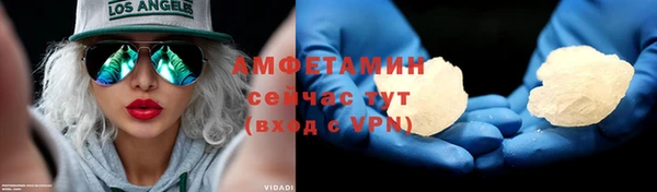 ГАЛЛЮЦИНОГЕННЫЕ ГРИБЫ Аркадак
