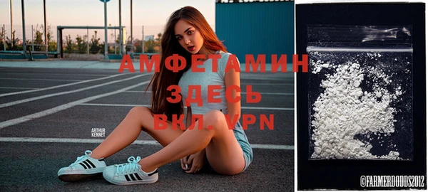 ГАЛЛЮЦИНОГЕННЫЕ ГРИБЫ Аркадак