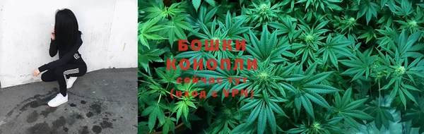 стафф Киреевск