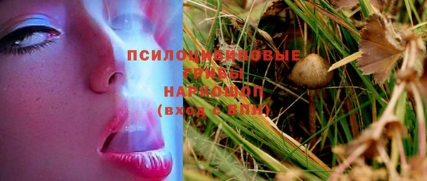 эйфоретик Горно-Алтайск