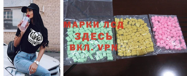 ГАЛЛЮЦИНОГЕННЫЕ ГРИБЫ Аркадак
