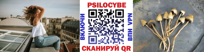 Галлюциногенные грибы Magic Shrooms  MEGA рабочий сайт  Кашин 
