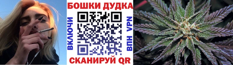 Бошки Шишки индика  даркнет состав  Кашин 